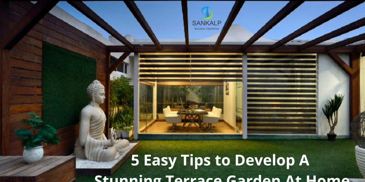 Terrace Garden At Home